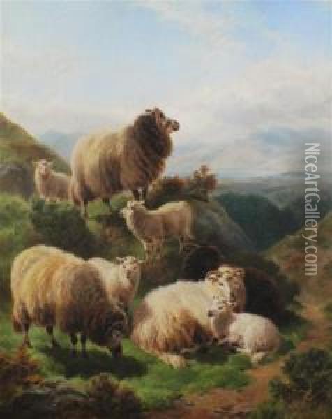 Sheep In A Mountainous Landscape Oil Painting - William Watson