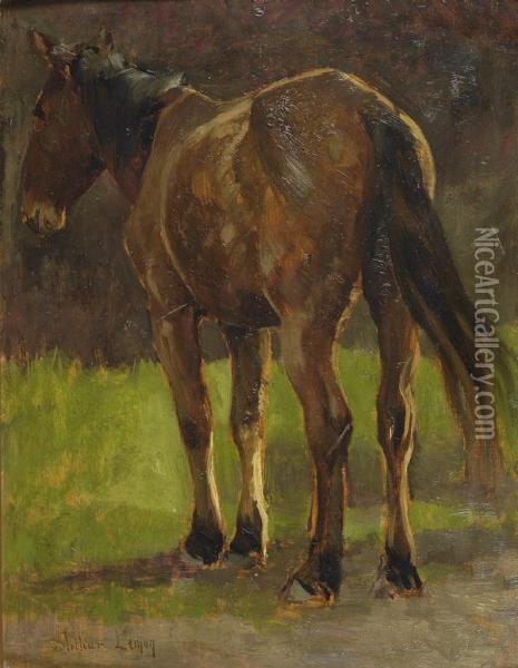 Cavallo Oil Painting - Arthur Lemon