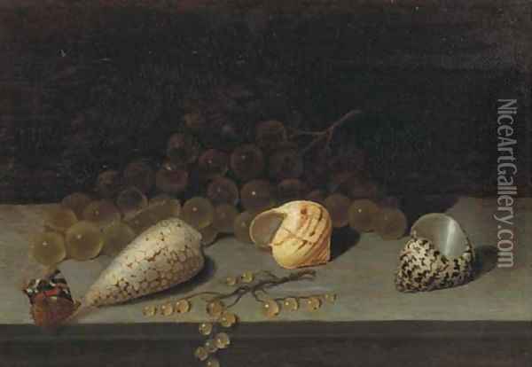 Shells, a brunch of white grapes, white currants and a butterfly on a ledge Oil Painting - Balthasar Van Der Ast