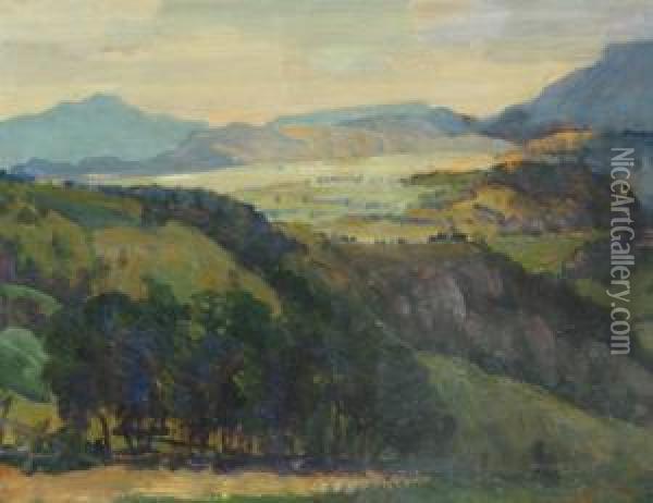Hill Landscape Oil Painting - Stefan Popescu
