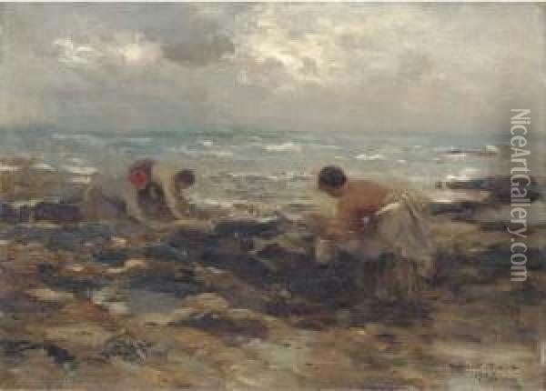 The Mussel Gatherers Oil Painting - William Mason Brown