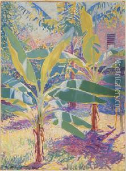 The Cabbage Patch, Bermuda Oil Painting - Edwin Ambrose Webster