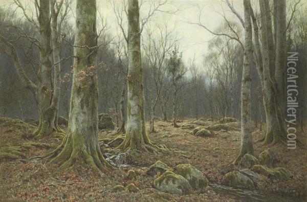 Monarchs Of The Beechwood Oil Painting - Tom Clough