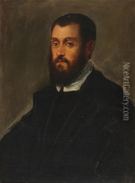 Portrait Of A Bearded Man Oil Painting -  Tintoretto
