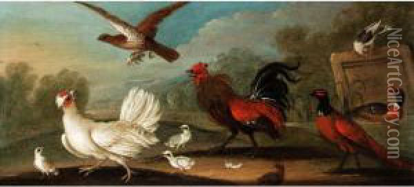 Fowl And Other Birds Oil Painting - Marmaduke Cradock