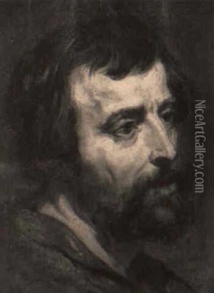 A Bearded Man Oil Painting - Lucas Franchoys the Younger