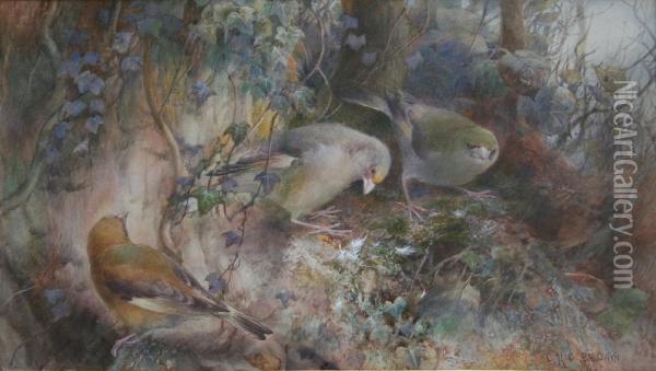 The Woodlanders: Haunt Of The Green Finches Oil Painting - Charles Henry C. Baldwyn