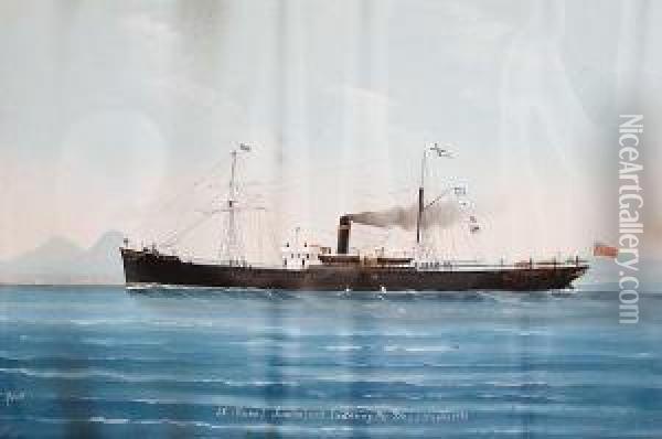 S.s. Runo Of Sunderland Entering The Bay Ofnaples Oil Painting - Luigi Roberto