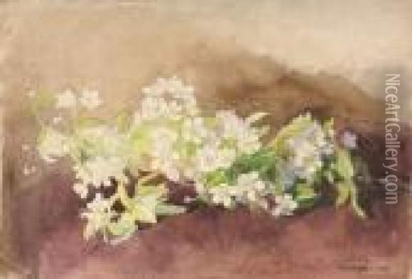Etude De Seringa En Fleurs Oil Painting - Ernest Quost