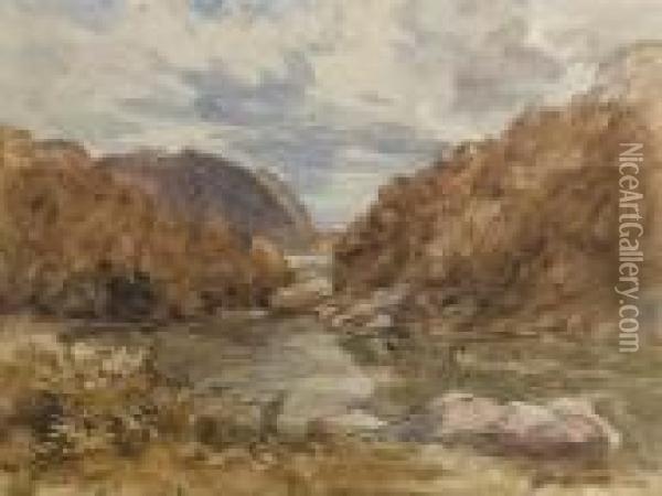 Pont-y-pair, Near Bettws-y-coed, Wales Oil Painting - David I Cox