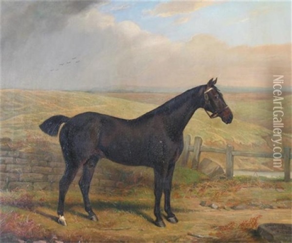 "peter", A Hunter In A Landscape Oil Painting - Edward Lloyd
