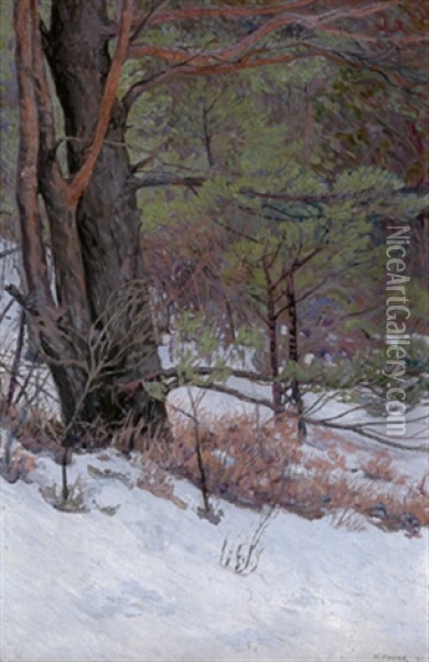 Wald Im Winter Oil Painting - Max Kahrer