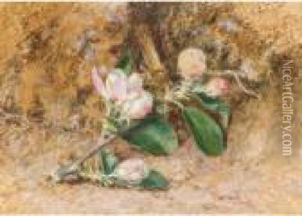 Apple Blossom Oil Painting - William Henry Hunt