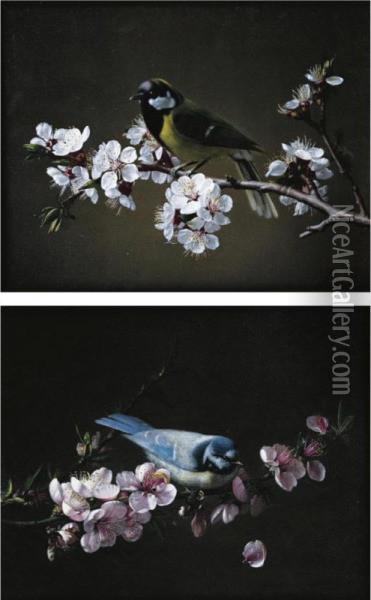 Blue Tit On A Branch Of Plum Tree In Bloom; Great Tit On A Branch Of Cherry Tree Oil Painting - Pierre Etienne Remillieux