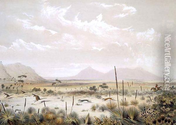 Kangaroo Hunting near Port Lincoln, from 'South Australia Illustrated' Oil Painting - George French Angas