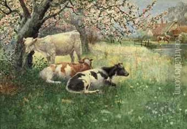 Cattle Grazing In An Orchard Oil Painting - Henry William Banks Davis, R.A.