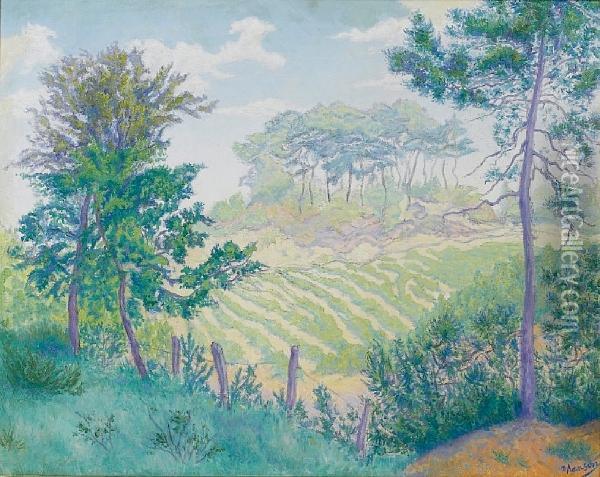 Les Vignobles Sous Les Pins 1896 Oil Painting - Paul-Elie Ranson