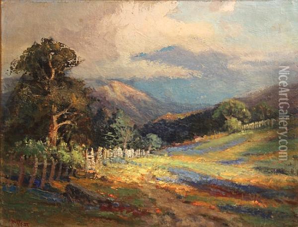 Mount Tamalpais From Mason County Oil Painting - Arthur William Best