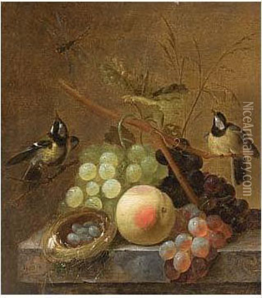 A Still Life Of Grapes, A Peach And A Dragonfly, Together With Blue Tits And A Bird's Nest, Arranged Upon A Marble Ledge Oil Painting - Johannes Hendrick Fredriks