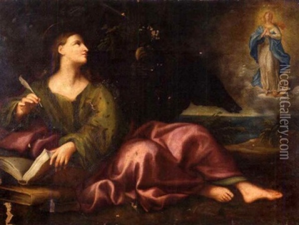 Saint Jean Oil Painting - Domenico Piola