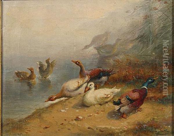 Eendjes Aan Het Water. Oil Painting - Jef Louis Van Leemputten