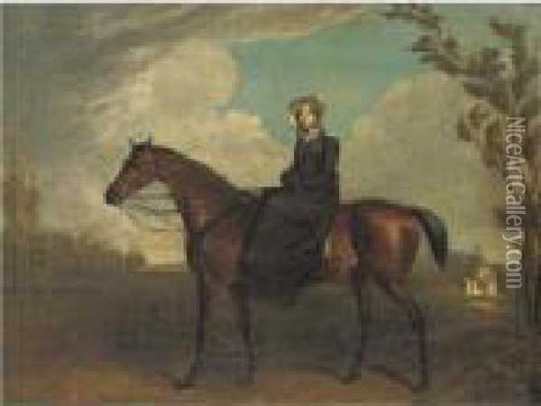A Lady Riding Sidesaddle On A Chestnut Horse Oil Painting - Edward Troye