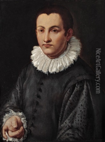Halbfiguriges Bildnis Eines Jungen Mannes Oil Painting - Alessandro di Cristofano Allori