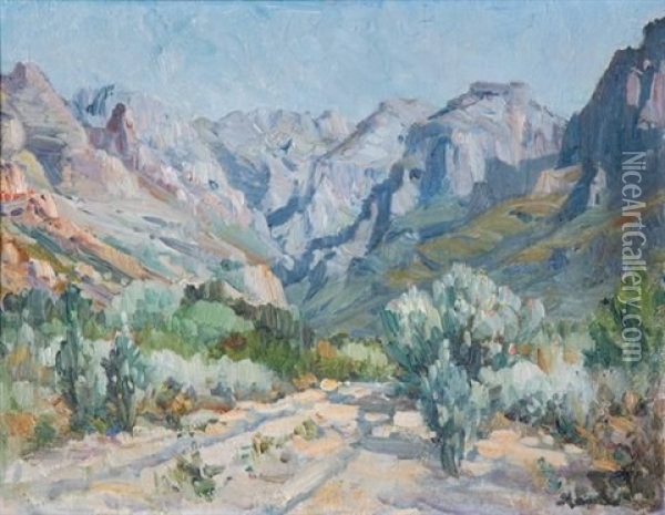 A Road Through The Hex River Mountains Oil Painting - Pieter Hugo Naude