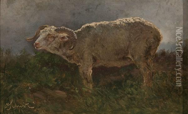 A Ram Oil Painting - Anton Schrodl