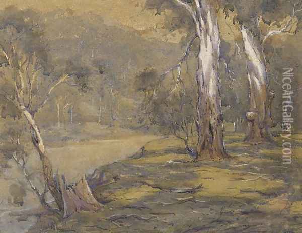 Gums on the River Oil Painting - Penleigh Boyd