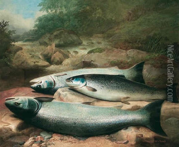 Salmon On The River Bank Oil Painting - John Bucknell Russell