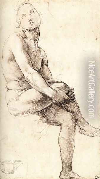 Study For Adam Oil Painting - Raphael