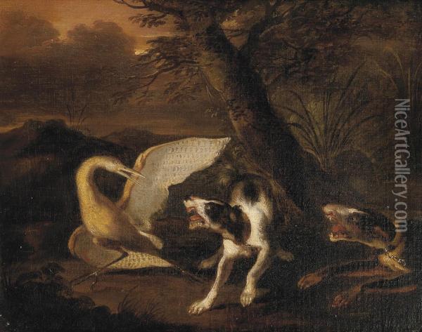 Hounds Attacking A Stork Oil Painting - Abraham Hondius
