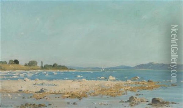 Rives Du Lac A Marin, Par La Bise Oil Painting - Auguste Bachelin