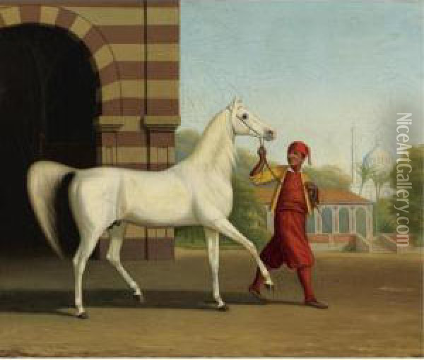 An Arabian Stallion Led By A Groom Oil Painting - James J. Mcauliffe