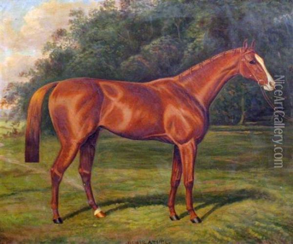 'blair Athol'; Horse Portrait Oil Painting - A. Clark