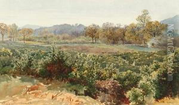 Reigate Heath Oil Painting - Charles Topham Davidson