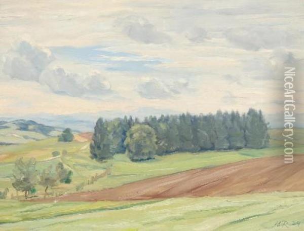 Sommerlichelandschaft Bei Dollendorf Oil Painting - Heinrich Reifferscheid