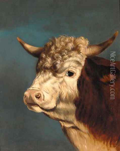 The head of a prize bull Oil Painting - English Provincial School