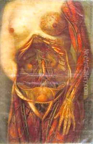 Female torso with open uterus Oil Painting - Arnauld Eloi Gautier DAgoty