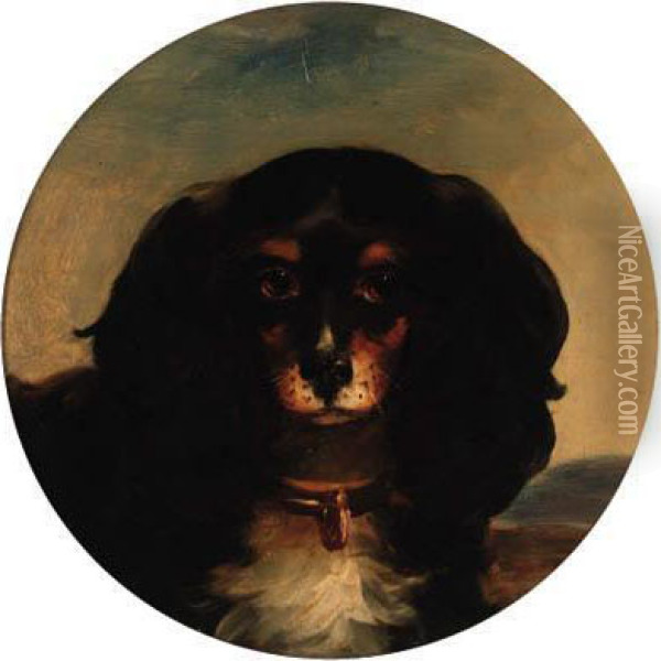 Spot, A Cavalier King Charles Spaniel Oil Painting - William Bowness
