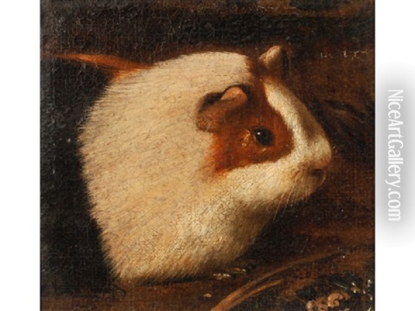 Head Of A Guinea Pig Oil Painting -  Giovanni da Udine