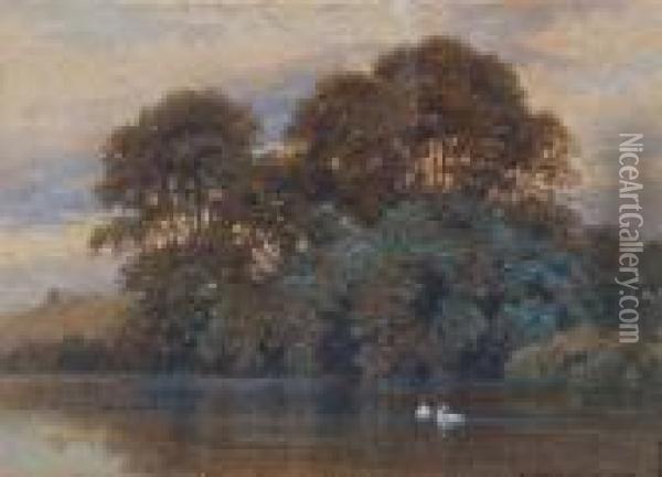 A Woodside Lake With Swans Oil Painting - Harry Sutton Palmer