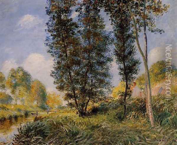 Banks of the Orvanne Oil Painting - Alfred Sisley