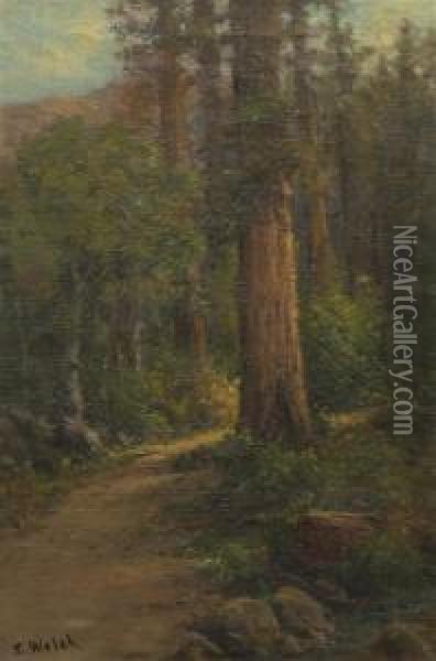 Forest Path Oil Painting - Thaddeus Welch
