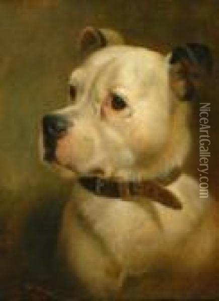 Portrait Of An English Mastiff. Signed And Dated Lower Left: W. Weekes 1860 Oil Painting - Herbert William Weekes