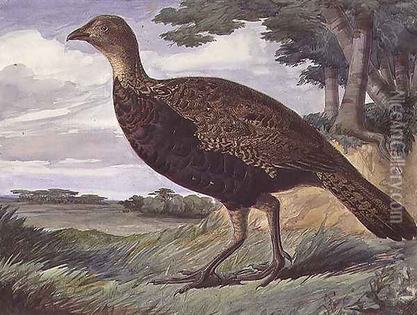 Pheasant and Greyhen Hybrid Oil Painting - Anthony Frederick Sandys