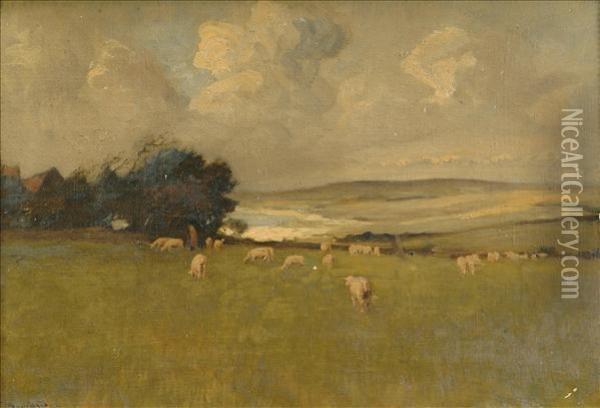 Evening Landscapewith Sheep Oil Painting - Emile Boulard