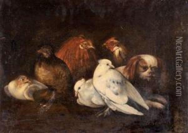 Pigeons, Coq Et Poules Veilles Par Un Chien Oil Painting - Jacob van der (Giacomo da Castello) Kerckhoven