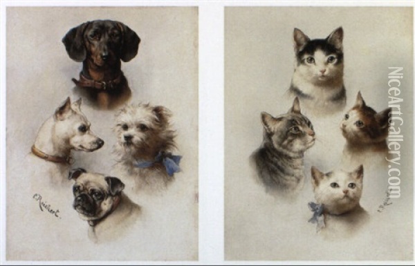 Studies Of Dogs Oil Painting - Carl Reichert
